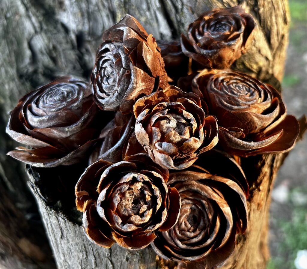 La Chiesa del Soccorso a Forio d'Ischia affacciata sul mare al tramonto.