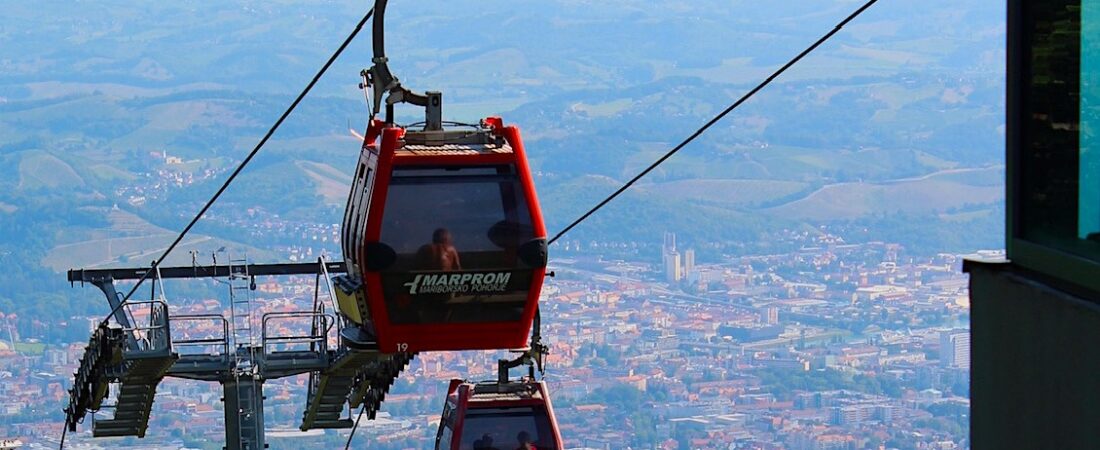 Pohorje con il cane: 7 giorni in montagna in Slovenia