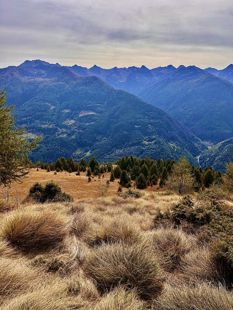 Paesaggio montano dell'Aprica in estate, ideale per fare hiking e trekking ad alta quota