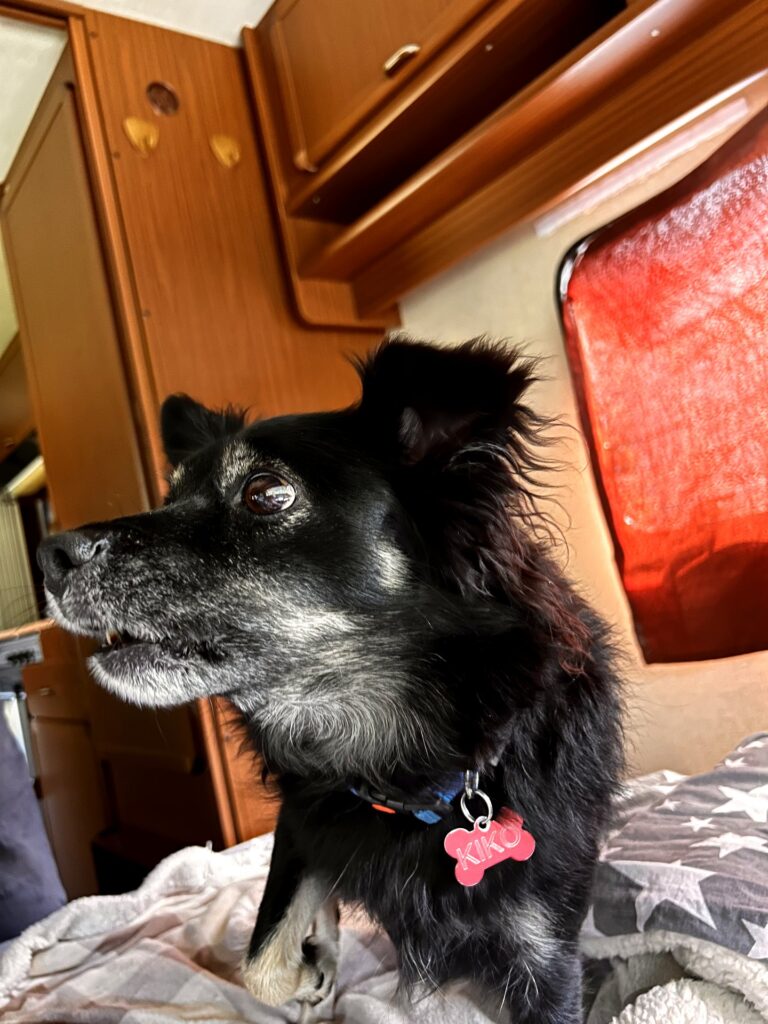 Kiko rilassato nella casetta al Camping Aprica