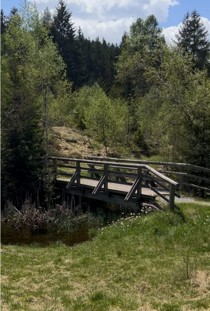 Ponte in legno con parapetto all'inizio del percorso di Pian di Gembro
