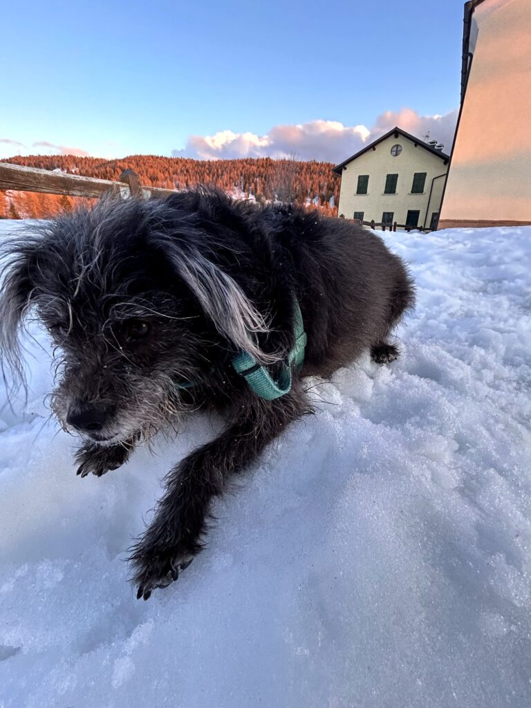 Ciocia nella neve a Trivigno sopra Aprica con il borgo sullo sfondo
