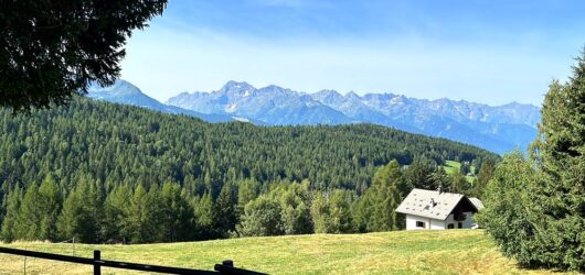Trivigno con i cani: la chiesa autentica e i 3 sentieri indimenticabili sopra Aprica