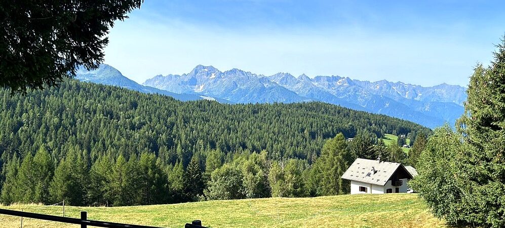 Trivigno con i cani: la chiesa autentica e i 3 sentieri indimenticabili sopra Aprica