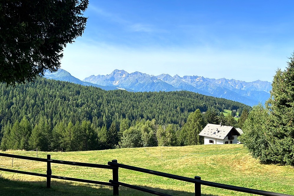 Trivigno con i cani: la chiesa autentica e i 3 sentieri indimenticabili sopra Aprica