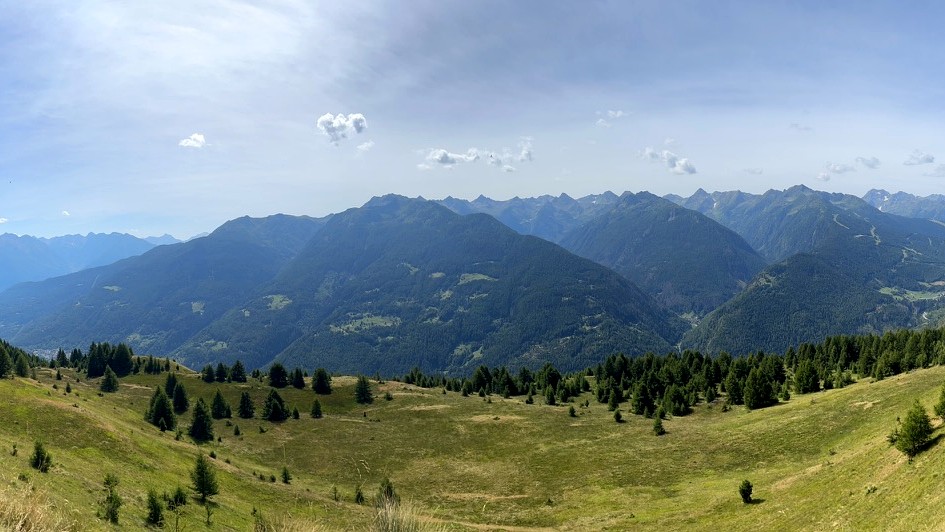 Panorama sul gruppo dell'Adamello dai sentieri da fare a Trivigno con i cani, Aprica