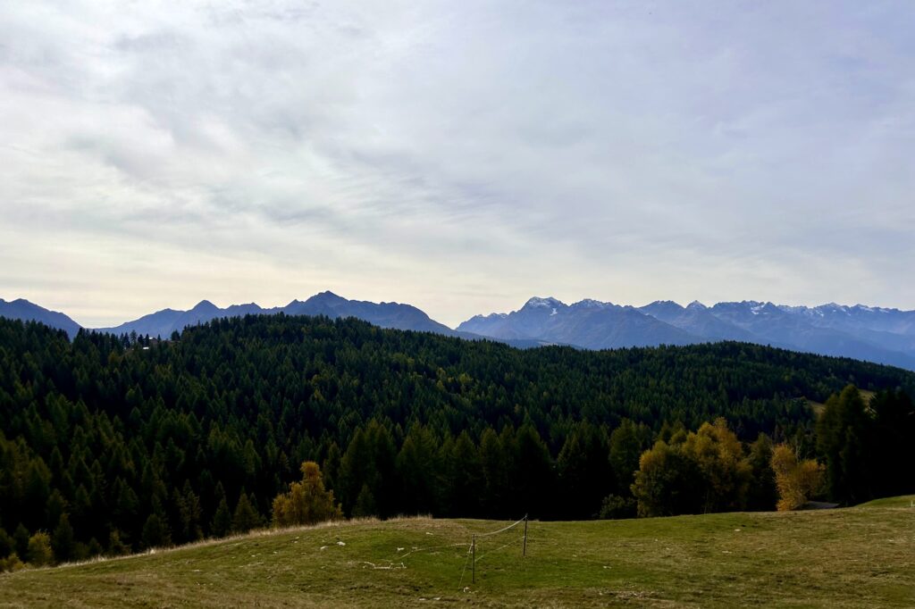 Panorama sulla vallata e i boschi dai sentieri sopra Trivigno, Aprica