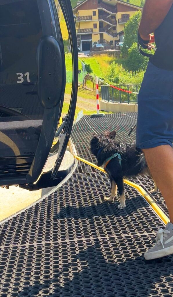 Kiko in attesa di salire sulla cabinovia di Aprica per Magnolta con i cani