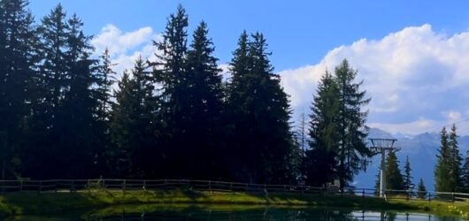 Magnolta con i cani in 3 punti: cabinovia, laghetto magico e area picnic sopra Aprica