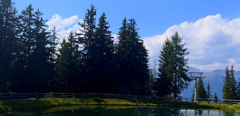 Magnolta con i cani in 3 punti: cabinovia, laghetto magico e area picnic sopra Aprica
