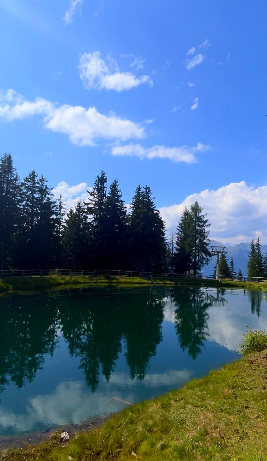 Magnolta con i cani in 3 punti: cabinovia, laghetto magico e area picnic sopra Aprica